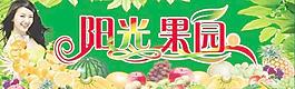 水果圖片