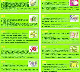 水果簡介圖片