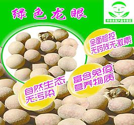 龍眼 水果圖片