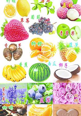 水果圖片