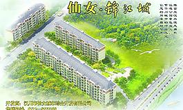 鳥瞰圖圖片