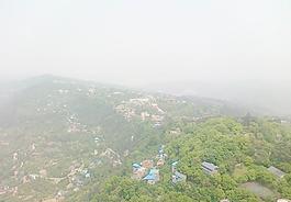 鳥(niǎo)瞰圖 叢林圖片