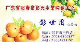 名片 卡片 水果 桔子 水果圖片