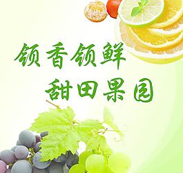 水果标语图片