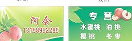 水果批發(fā)名片圖片
