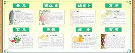 蔬菜 水果的營養成份圖片
