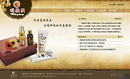 中医美容养生网页模板
