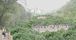 蒙山大佛环境设计图片