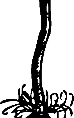 磨損的插頭電危險(xiǎn)剪貼畫