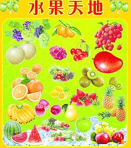 水果天地图片