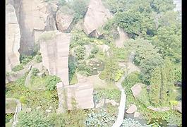 園林圖片