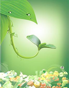水果圖片