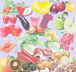 蔬菜  水果圖片