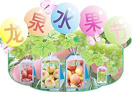 龍泉水果節(jié)圖片