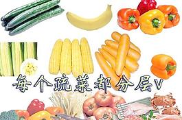 蔬菜 水果图片