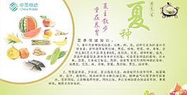 夏季养生图片