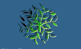 植物圖片