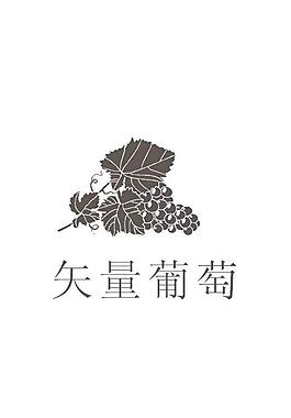 矢量葡萄圖片