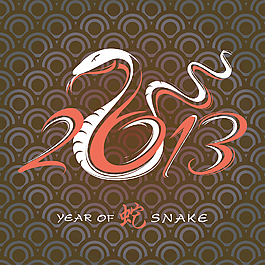 2013年的蛇01載體設計