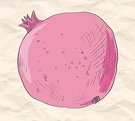 石榴圖片