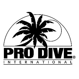 Pro潛水