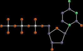 dCTP