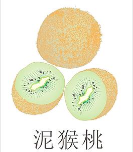 泥猴桃圖片