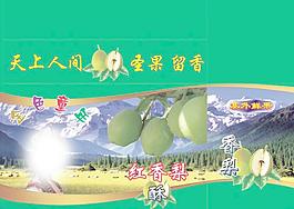 香梨 新疆香梨 绿色香梨 香梨酥 天山香梨图片