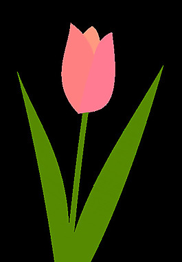 郁金香