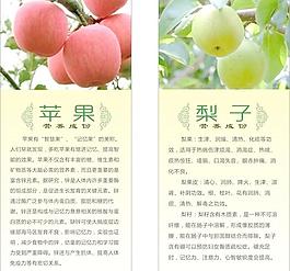 蘋果 梨子的營養成份圖片