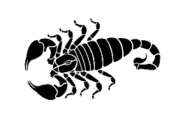 蝎子剪影矢量
