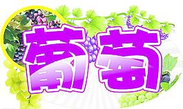 葡萄圖片