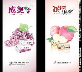 葡萄 蘋果海報圖片