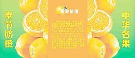 脐橙海报图片