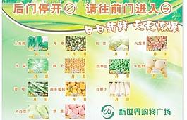 新世界圖片