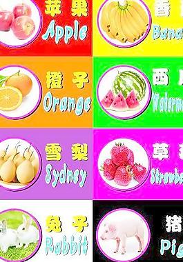 幼兒中英文圖片