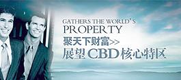 展望CBD核心特區(qū)PSD地產(chǎn)海報