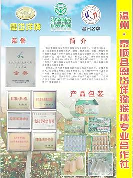 獼猴桃傳單圖片