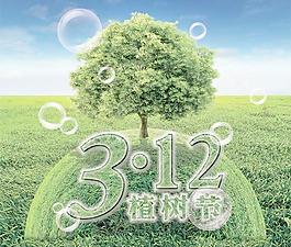綠色春天3.12植樹(shù)節(jié)PSD海報(bào)