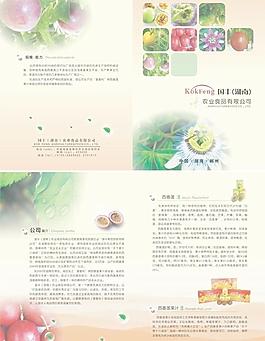 西番蓮飲品a3二折頁圖片