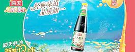 海天金標蠔油宣傳廣告PSD分