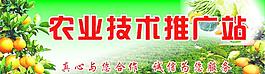 農(nóng)業(yè)技術推廣站圖片