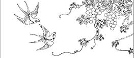 燕子葡萄線描圖圖片