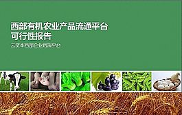 分析報(bào)告