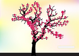 开满花朵的大树