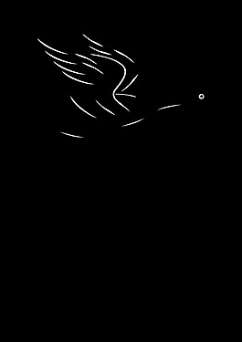 duck_flying