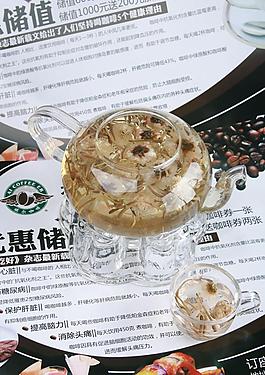 金银百合茶图片