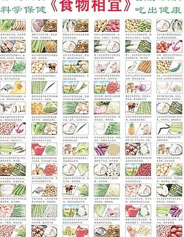 食物相宜相克圖片