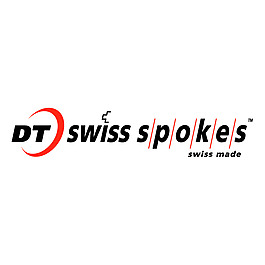 DT Swiss輻條