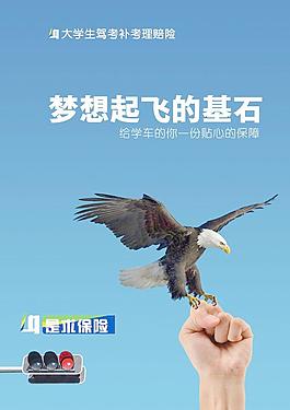 駕考保險宣傳海報圖片
